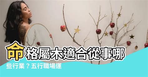 命格屬木 適合行業